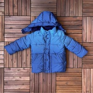 Gap Boy’s Hooded Puffer Jacket Ombré Blue XS 4/5